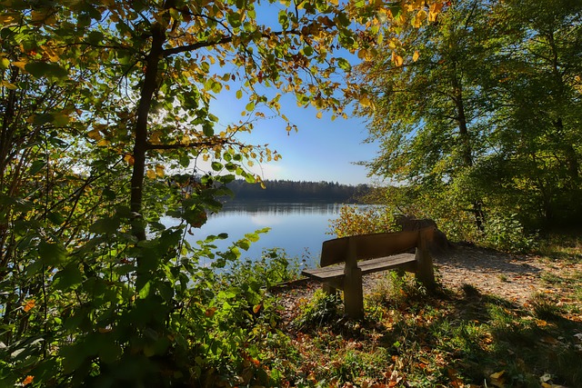 使内线进攻 使内线进攻