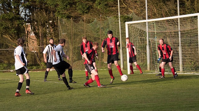 与之相比 与之相比