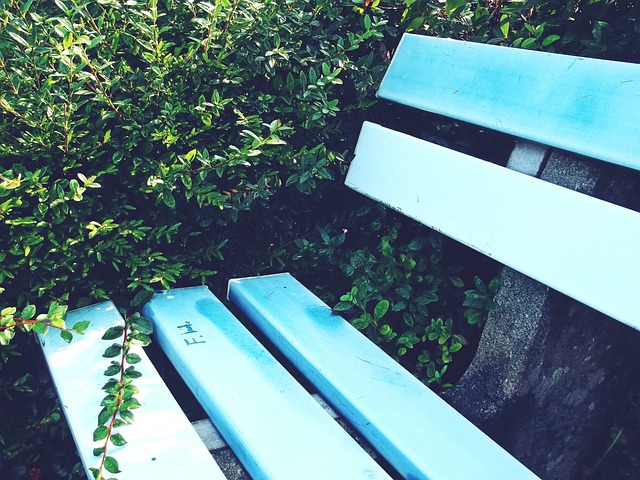 赢得比赛的 赢得比赛的