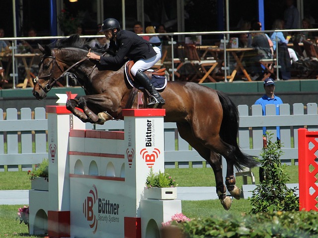 等技术要求 等技术要求