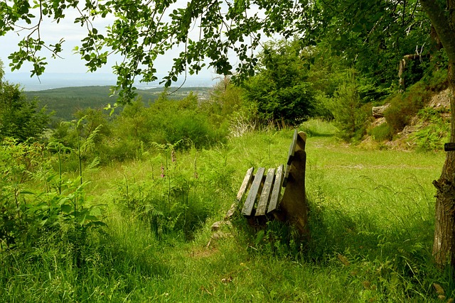 整体实力的 整体实力的